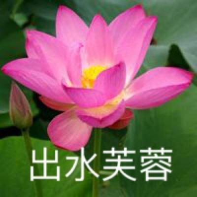 仙剑传奇天下手游(暂未上线)v1.1.9 安卓版
